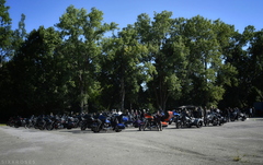  DSC2050